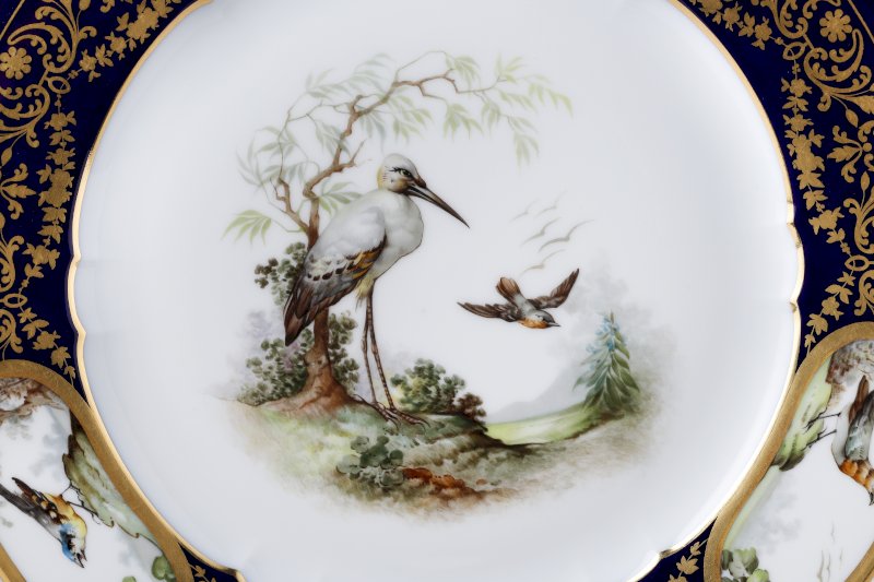 Héron, assiette aux oiseaux