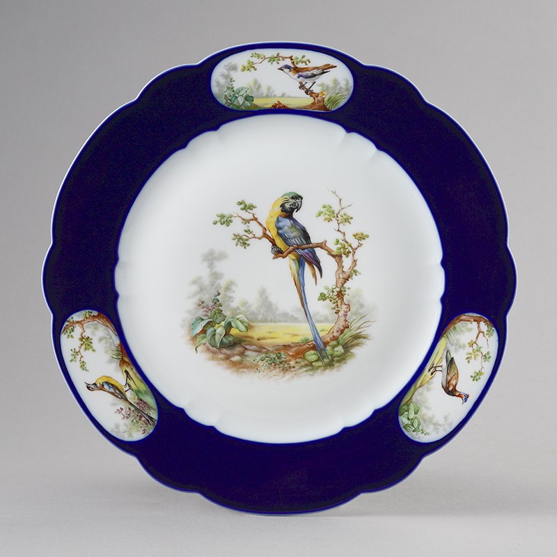 Perroquet, assiette aux oiseaux