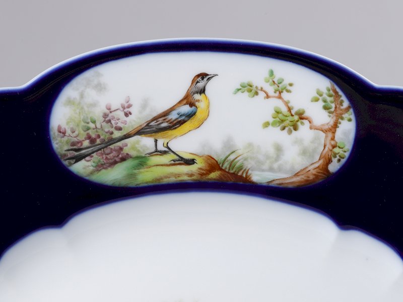 Perroquet, assiette aux oiseaux